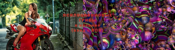дмт Баксан