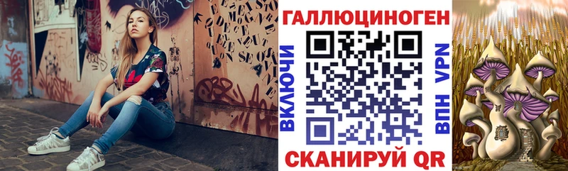 мега tor  купить наркотик  Велиж  Галлюциногенные грибы мухоморы 